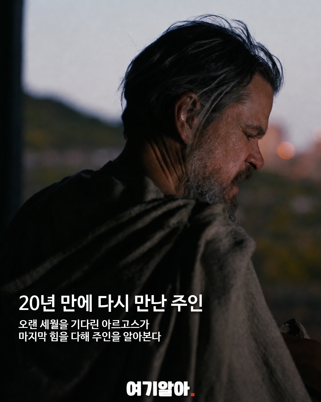 700만 관객 울린 강아지 아르고스 02페이지
