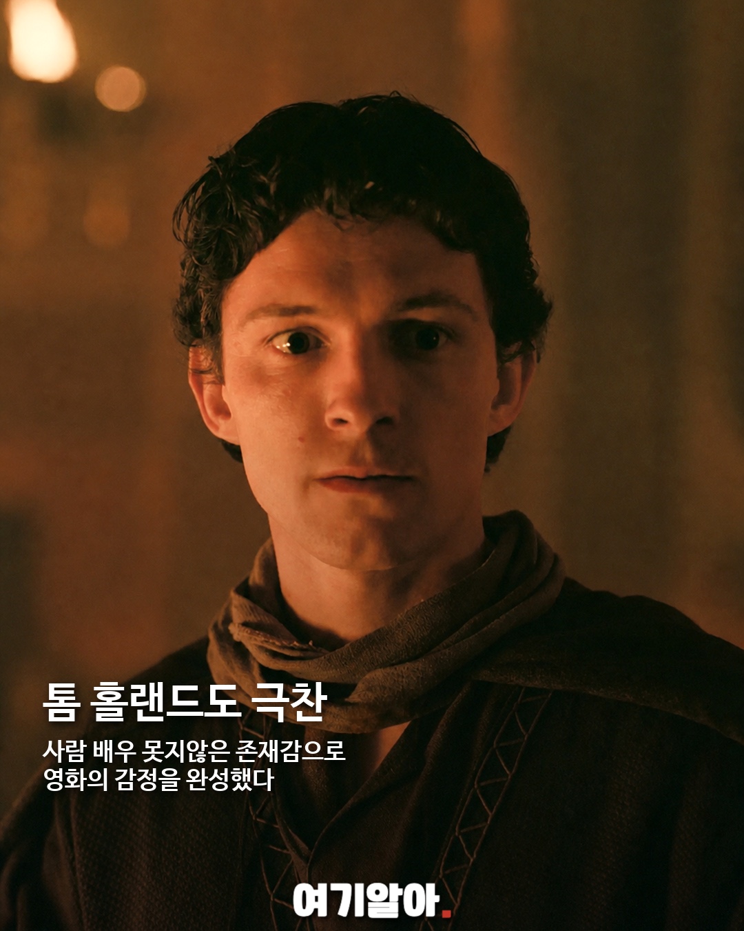 700만 관객 울린 강아지 아르고스 05페이지