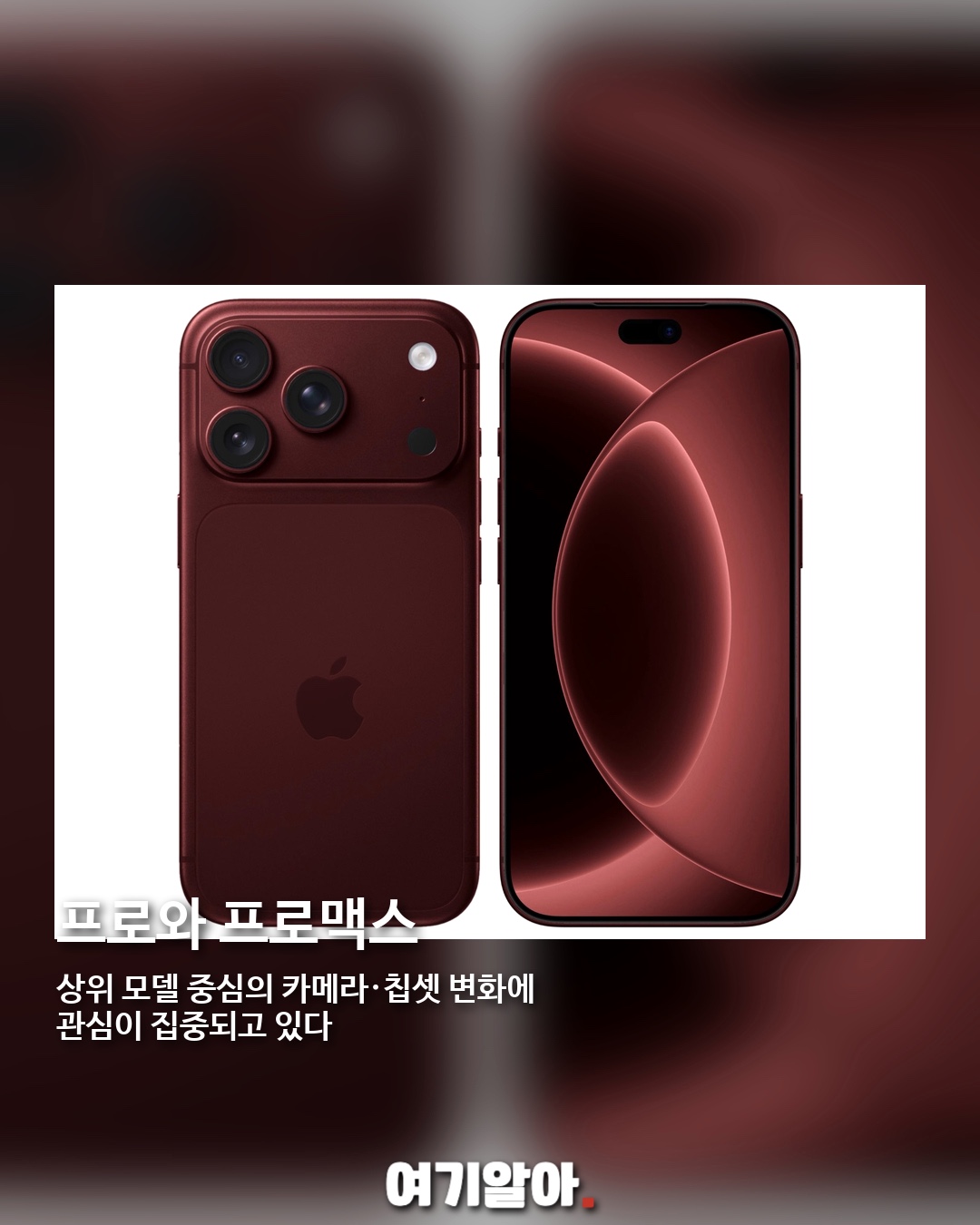 아이폰18 프로 한국 1차 출시 전망 03페이지