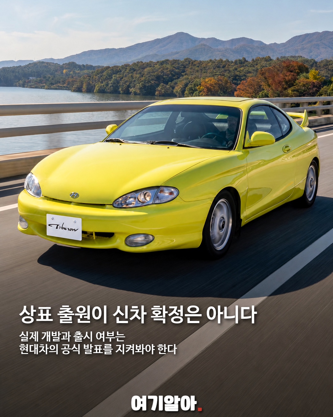 티뷰론·현대 쿠페 상표 다시 출원 03페이지