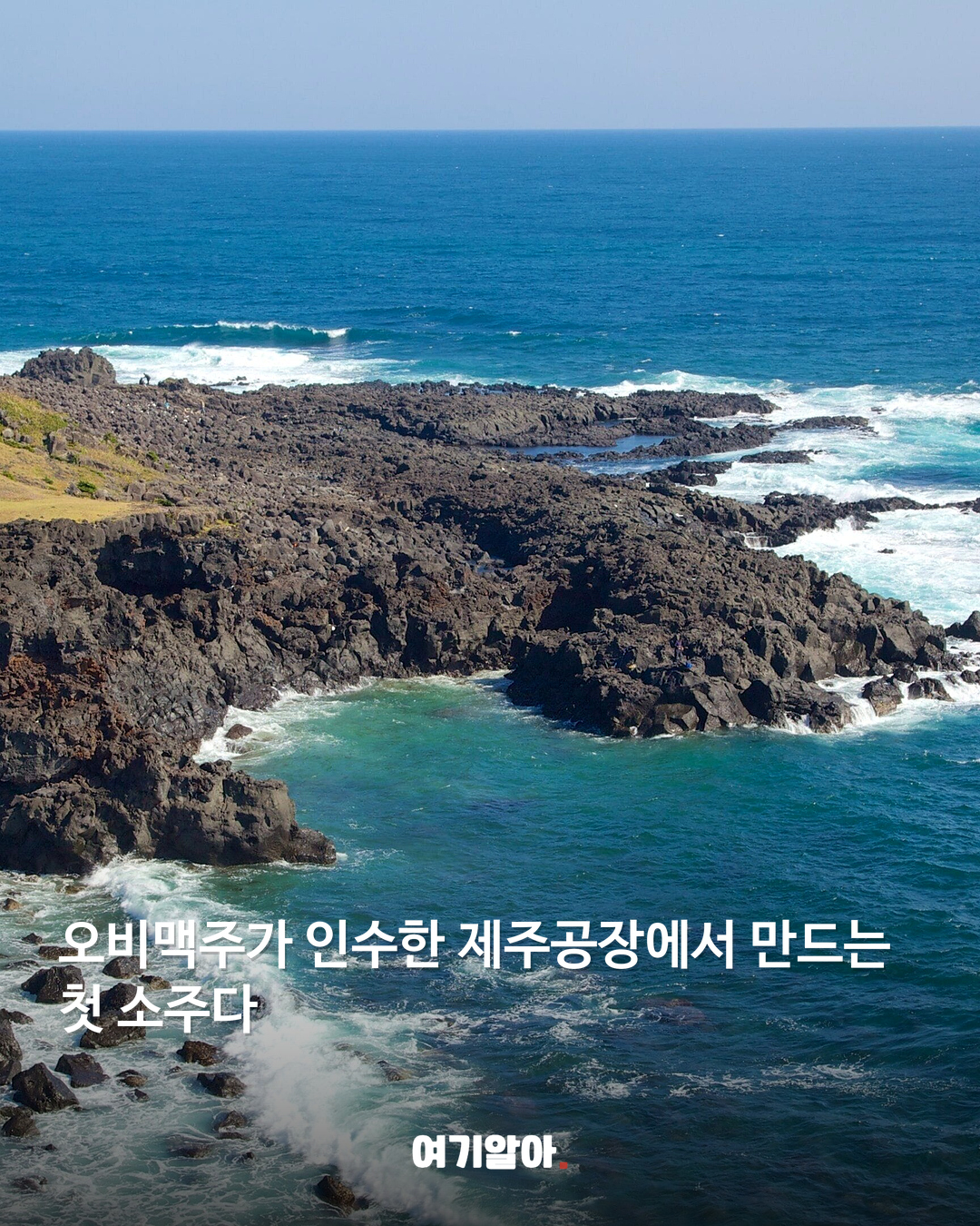 오비맥주 첫 소주 제로슈거 ‘찰랑’ 나온다 02페이지