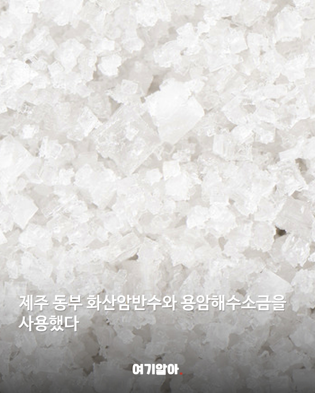 오비맥주 첫 소주 제로슈거 ‘찰랑’ 나온다 03페이지