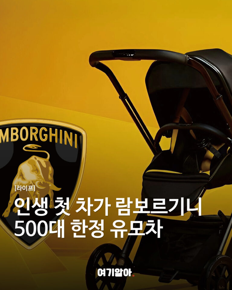 인생 첫 차가 람보르기니 500대 한정 유모차