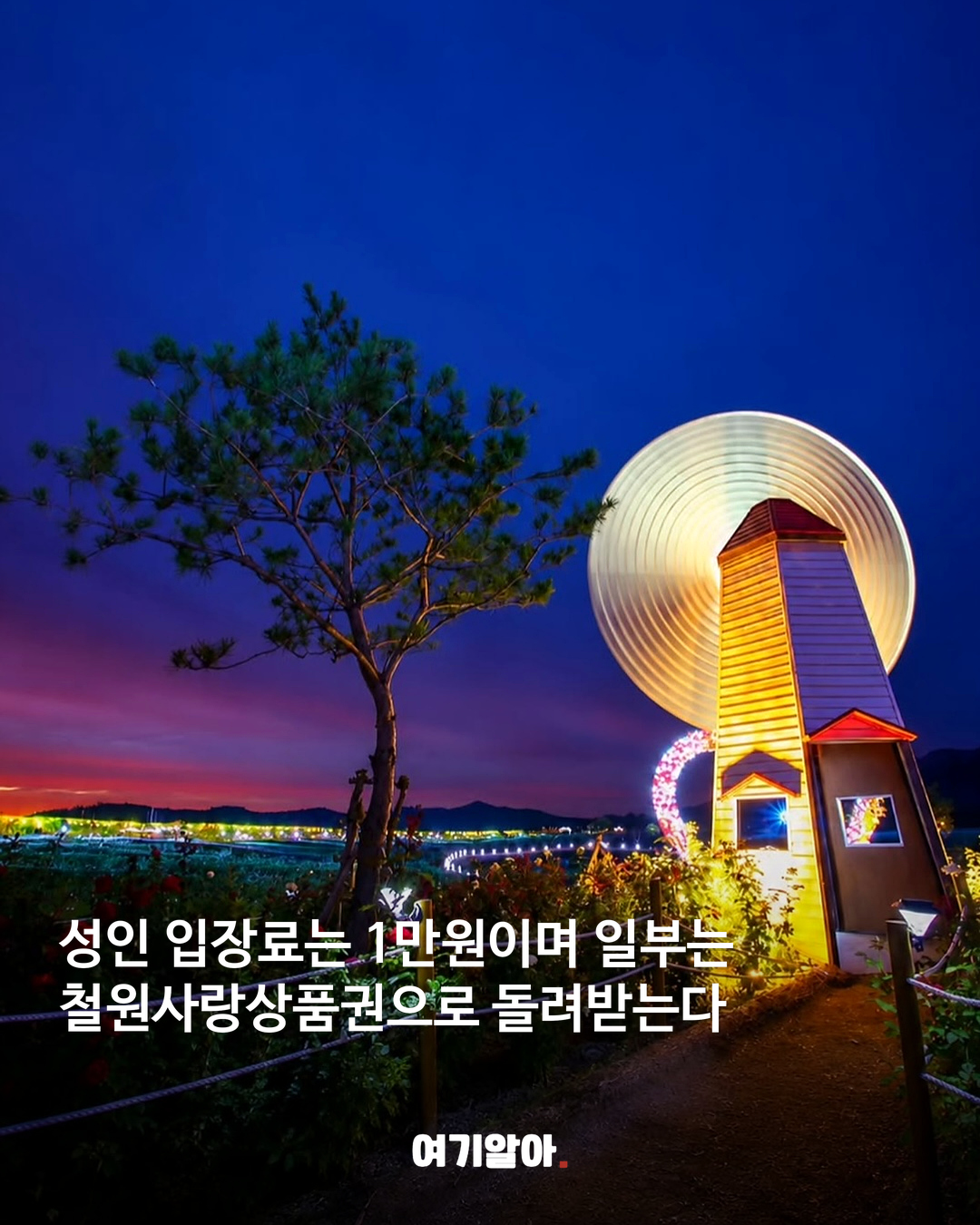 철원 고석정 꽃밭 가을 시즌 문 열었다 06페이지