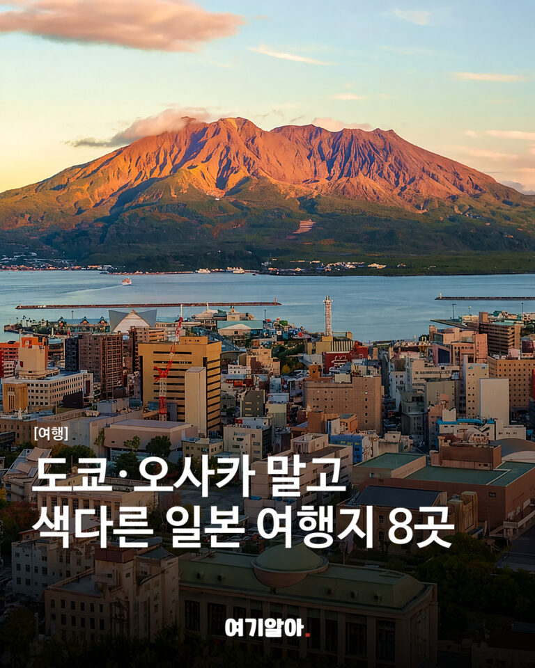 도쿄·오사카 말고 색다른 일본 여행지 8곳