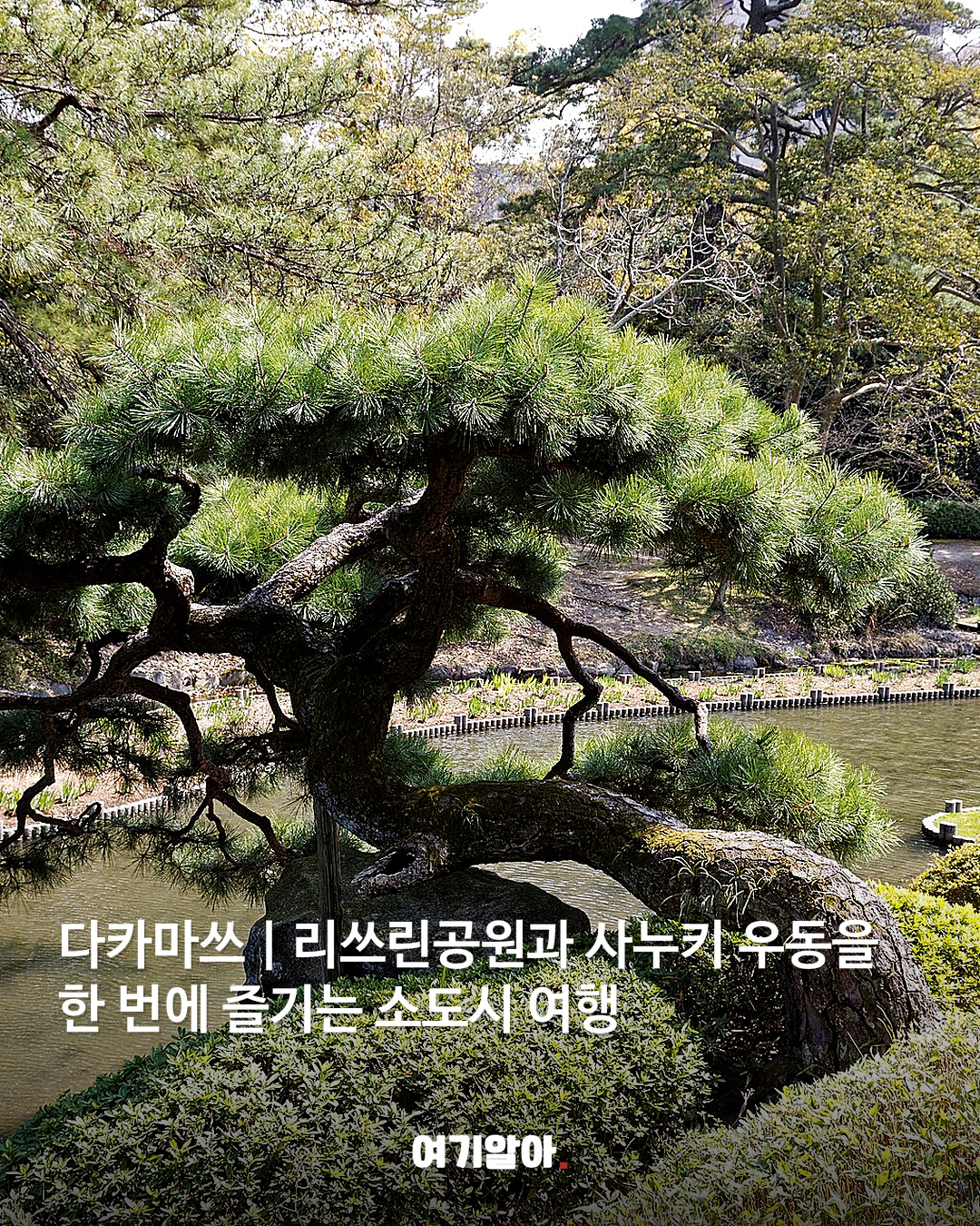 도쿄·오사카 말고 색다른 일본 여행지 8곳 02페이지