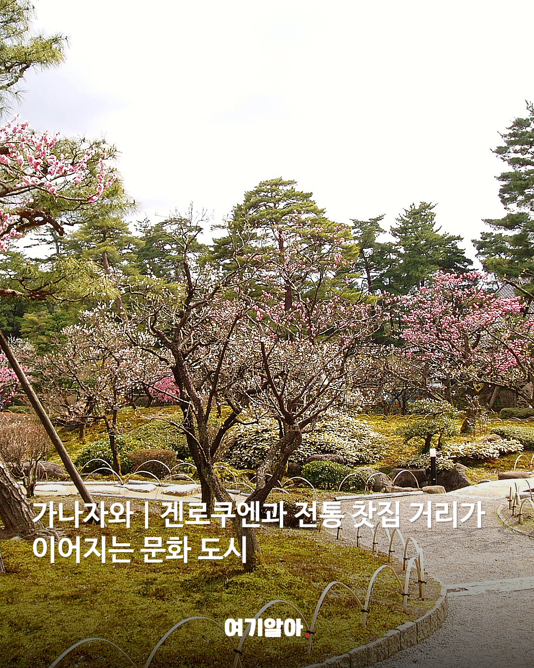 도쿄·오사카 말고 색다른 일본 여행지 8곳 04페이지