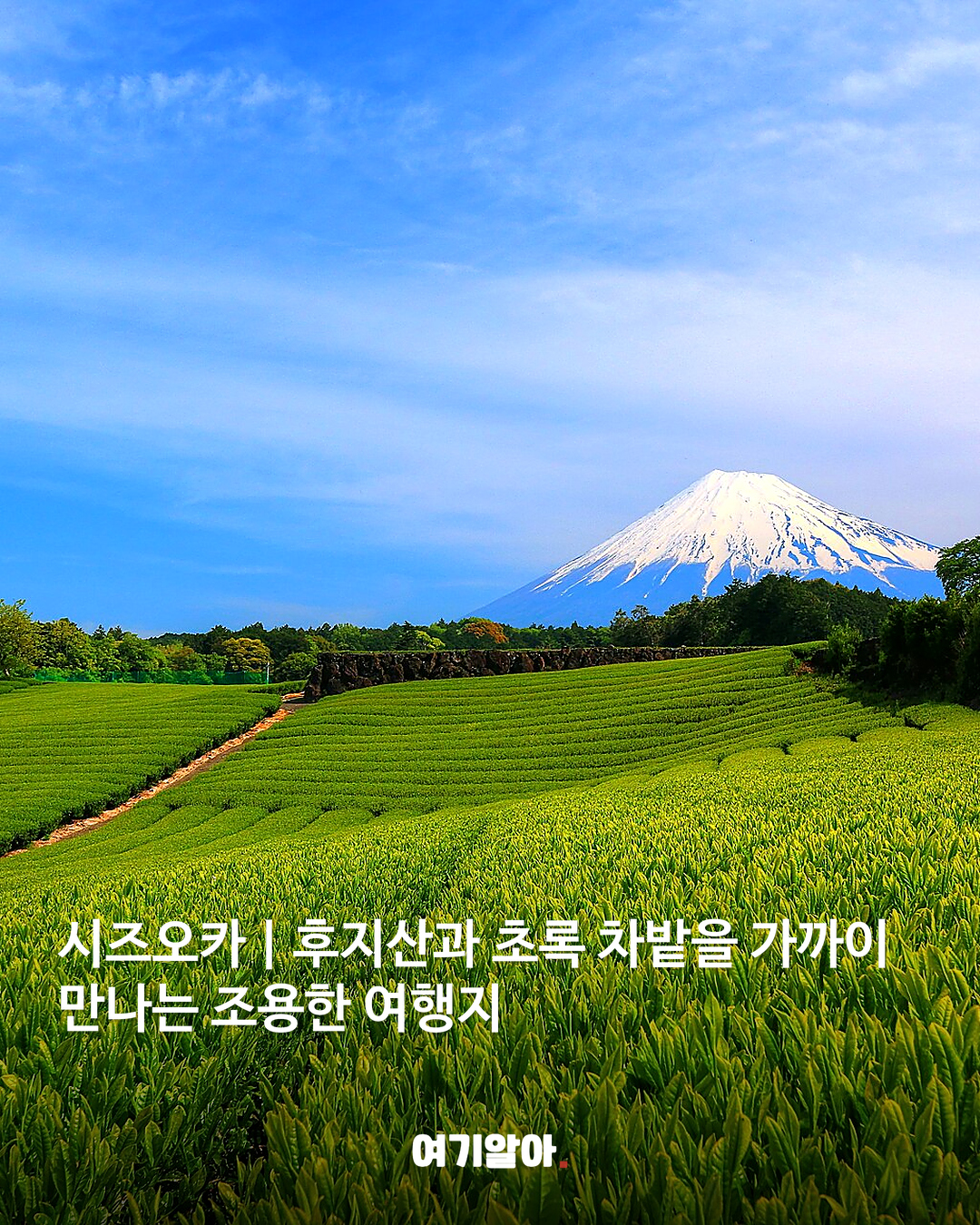 도쿄·오사카 말고 색다른 일본 여행지 8곳 06페이지