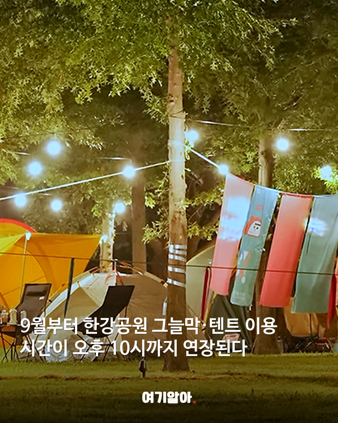 한강 텐트 이제 밤 10시까지 가능 02페이지