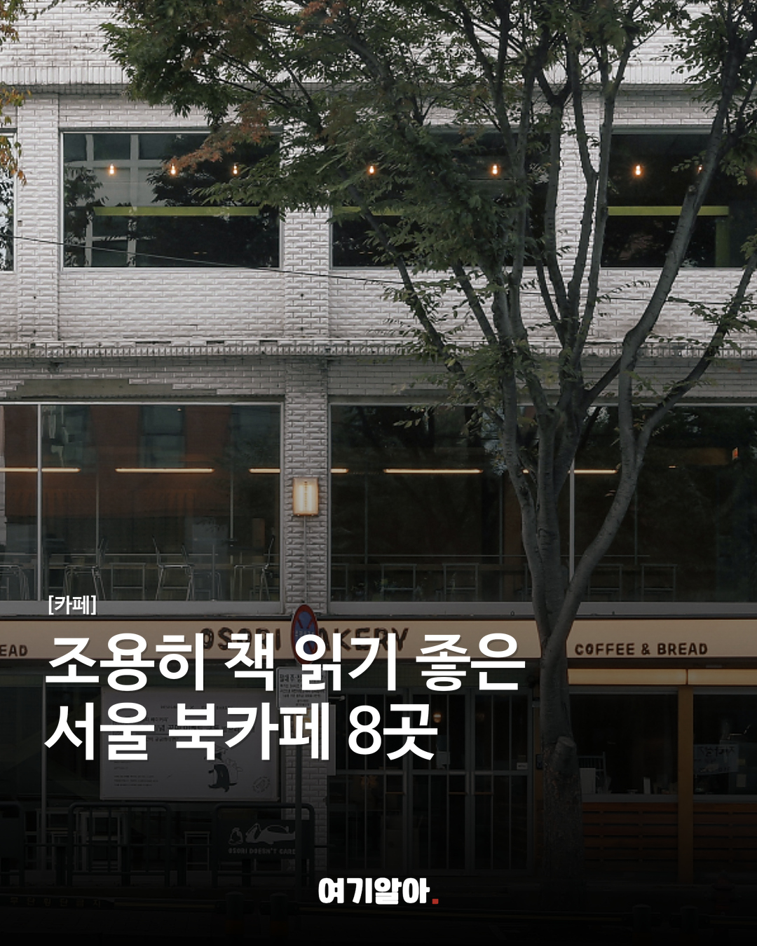 조용히 책 읽기 좋은 서울 북카페 8곳