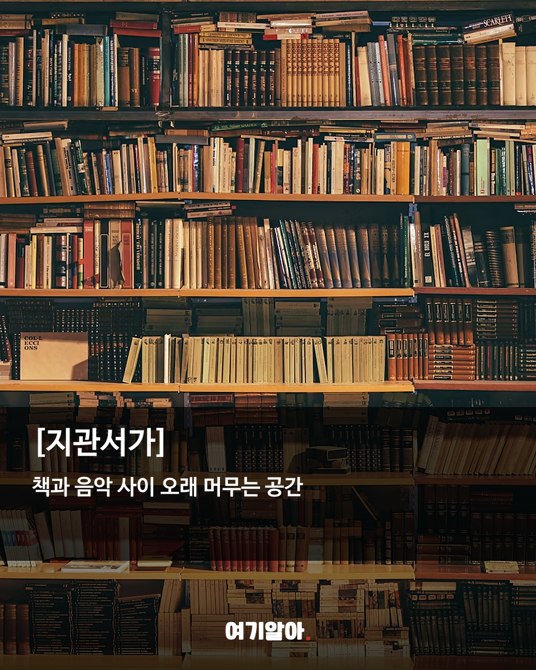조용히 책 읽기 좋은 서울 북카페 8곳 08페이지