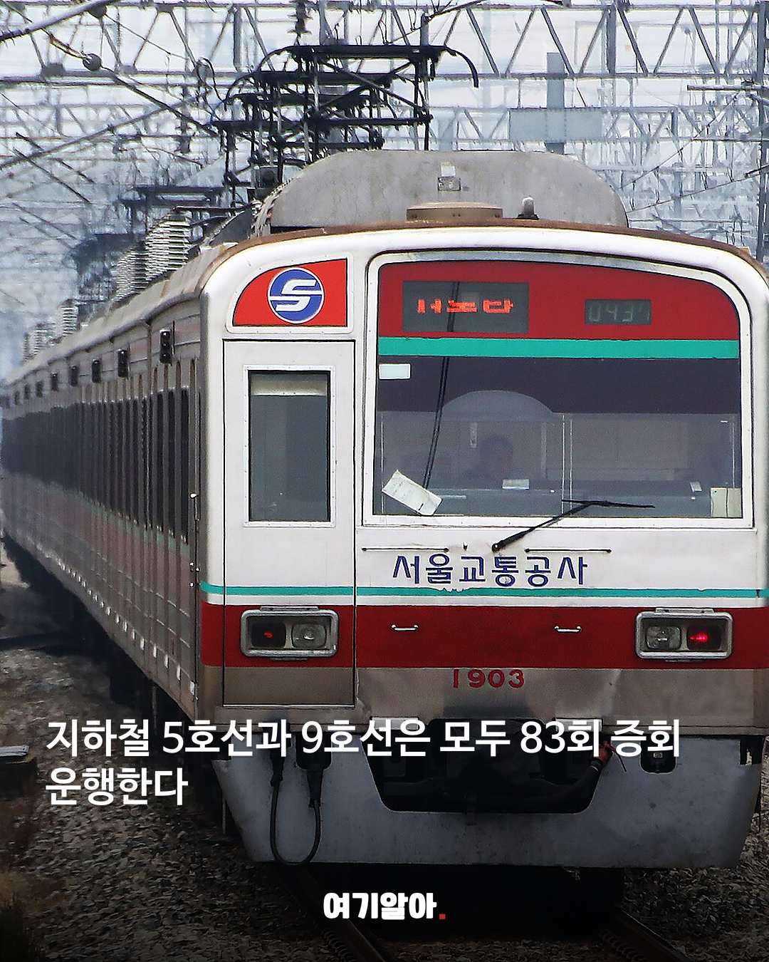 100만 인파 예상 불꽃축제 교통통제 04페이지