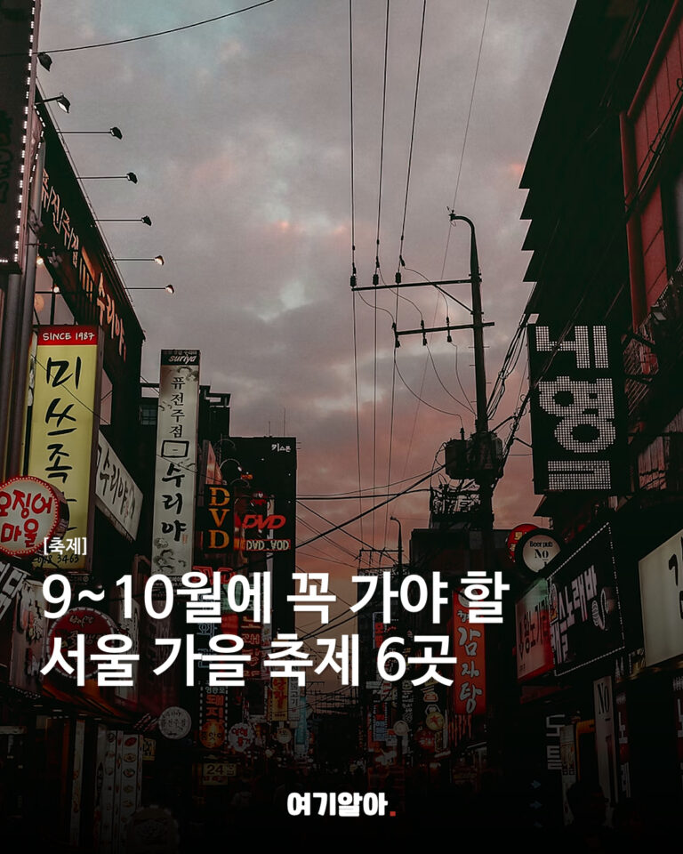 9~10월에 꼭 가야 할 서울 가을 축제 6곳