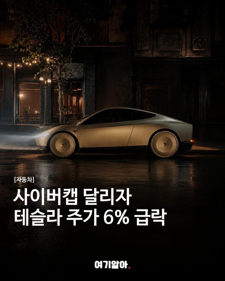 사이버캡 달리자 테슬라 주가 6% 급락
