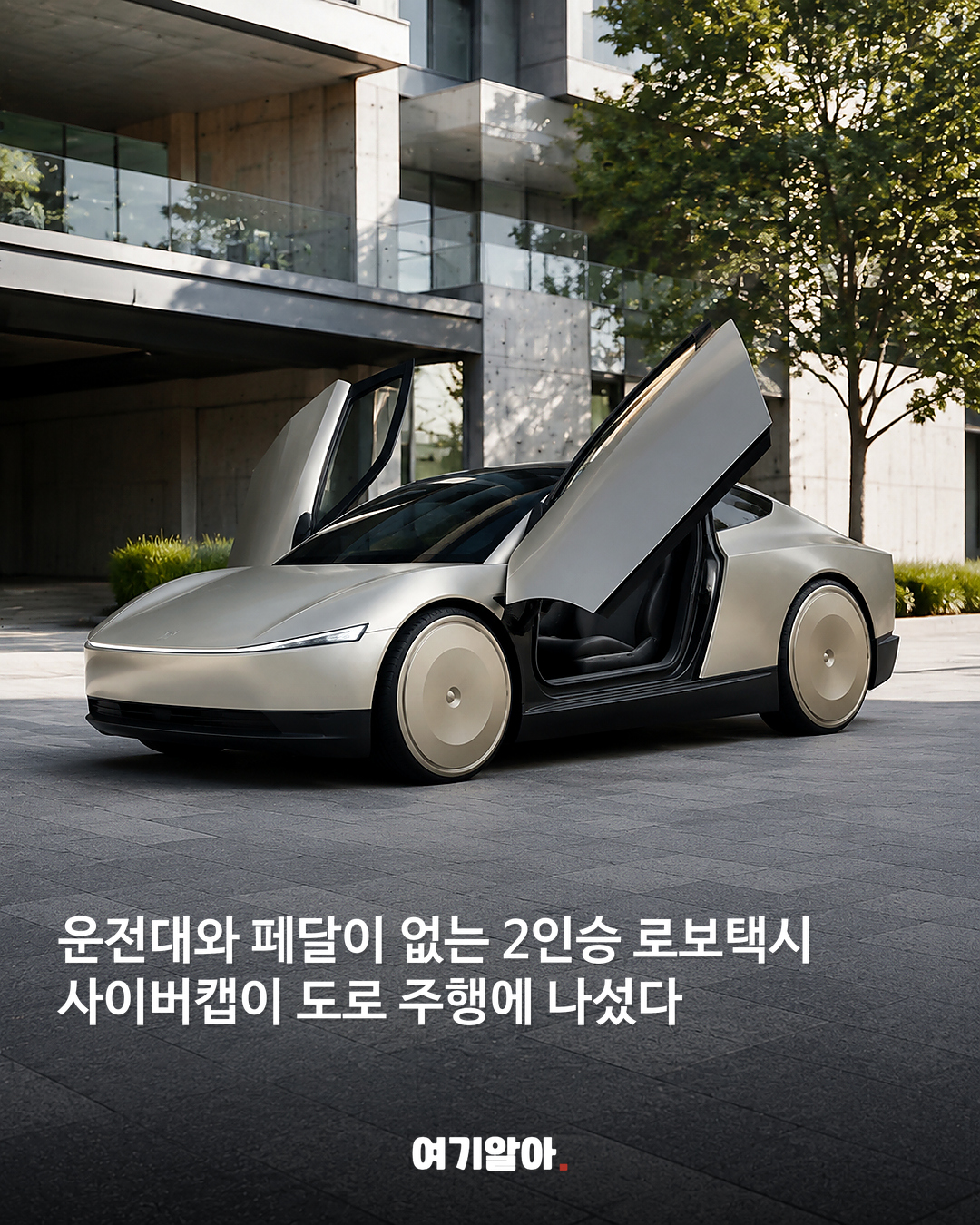 사이버캡 달리자 테슬라 주가 6% 급락 02페이지