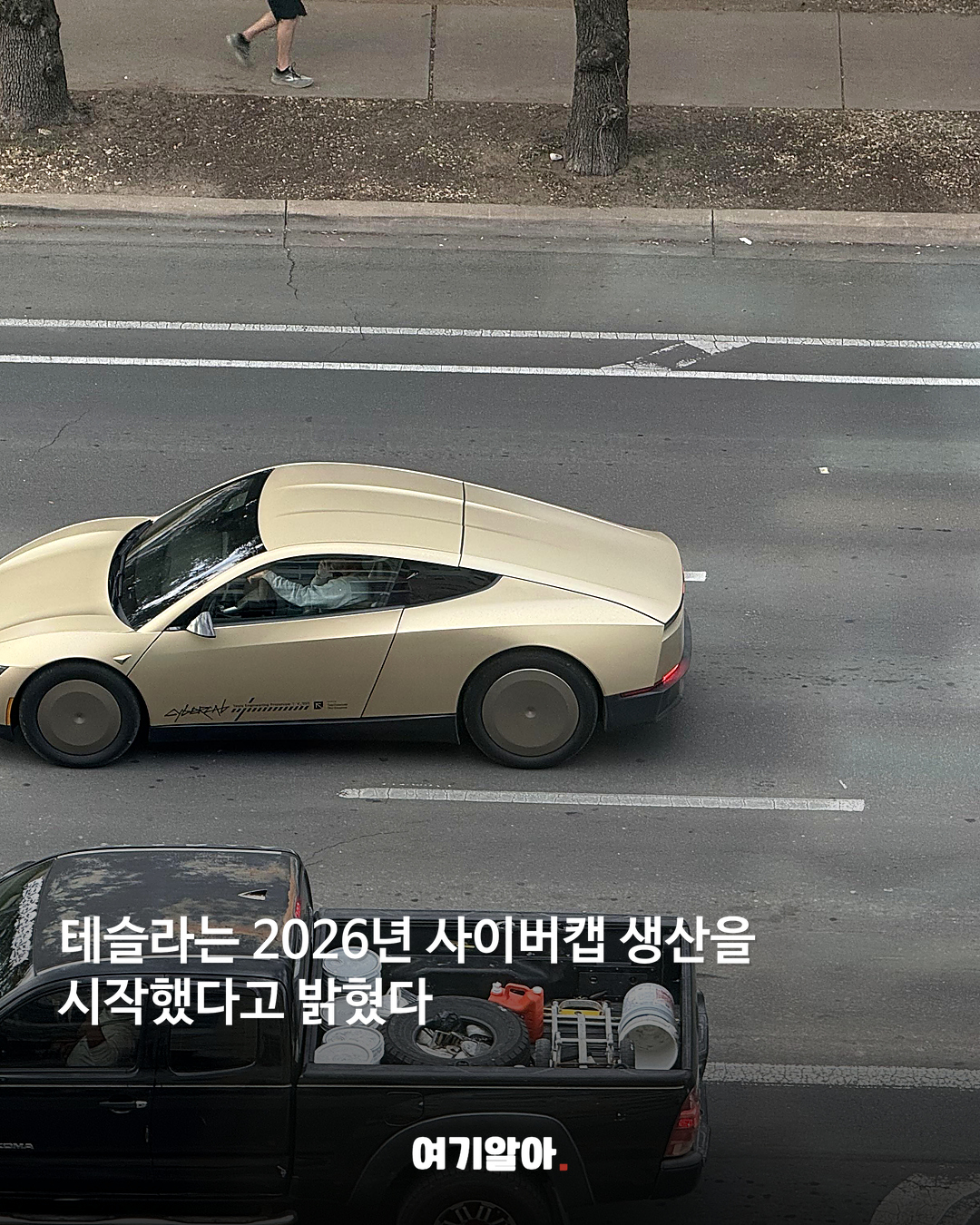 사이버캡 달리자 테슬라 주가 6% 급락 06페이지