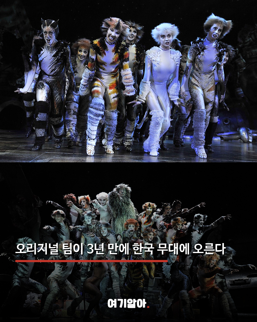 3년 만에 돌아온 뮤지컬 ‘캣츠’ 내한 02페이지