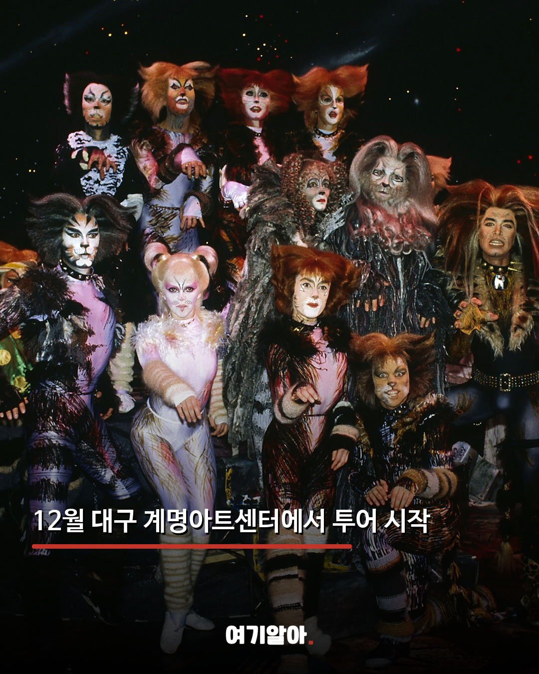 3년 만에 돌아온 뮤지컬 ‘캣츠’ 내한 03페이지