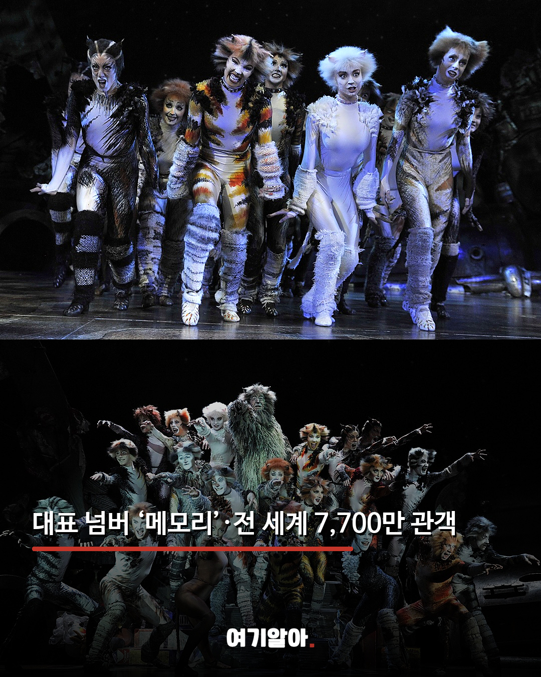 3년 만에 돌아온 뮤지컬 ‘캣츠’ 내한 05페이지