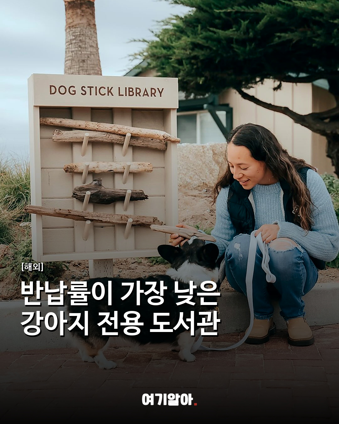 반납률이 가장 낮은 강아지 전용 도서관