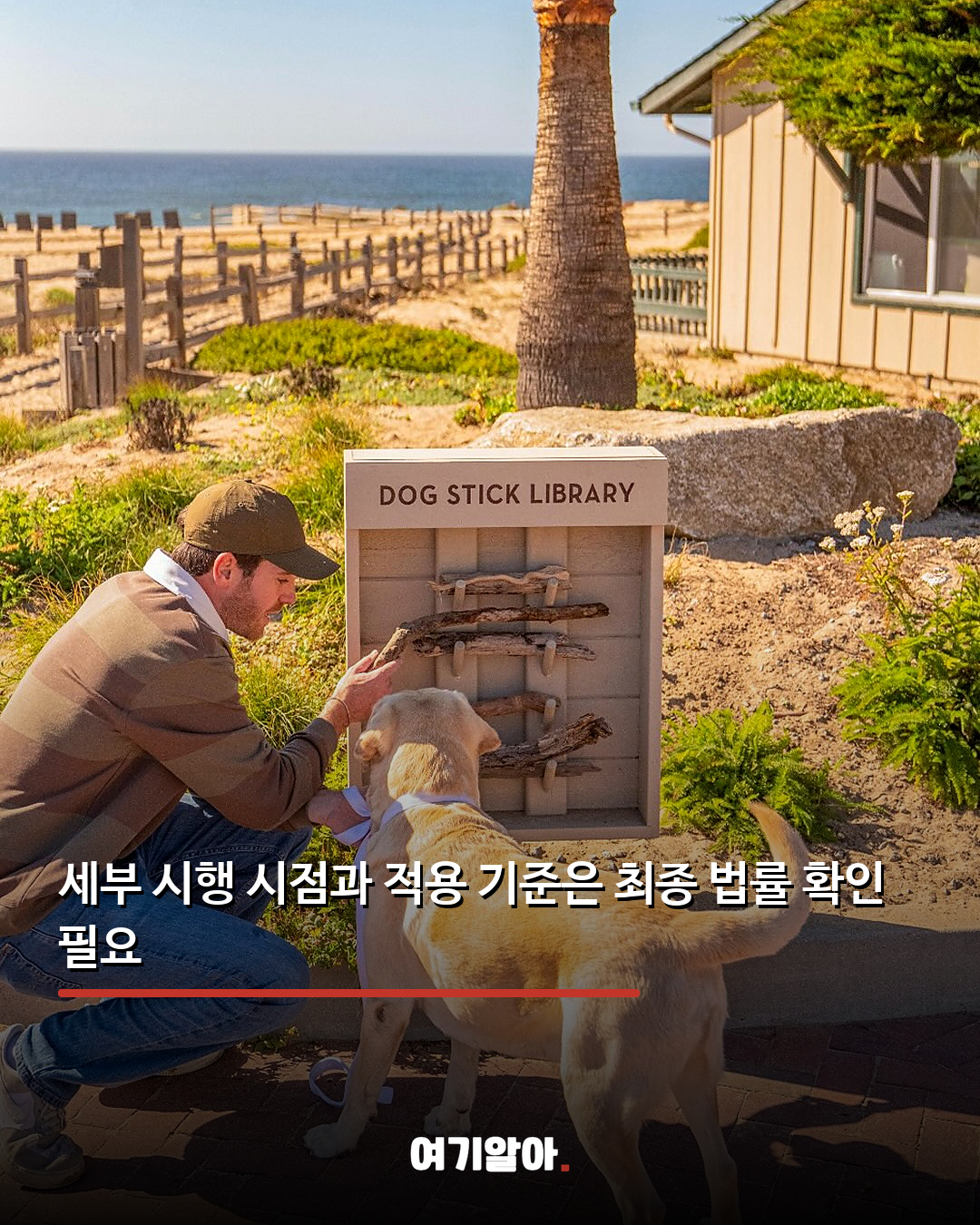 동물학대 전과자 최대 5년 사육 금지 05페이지