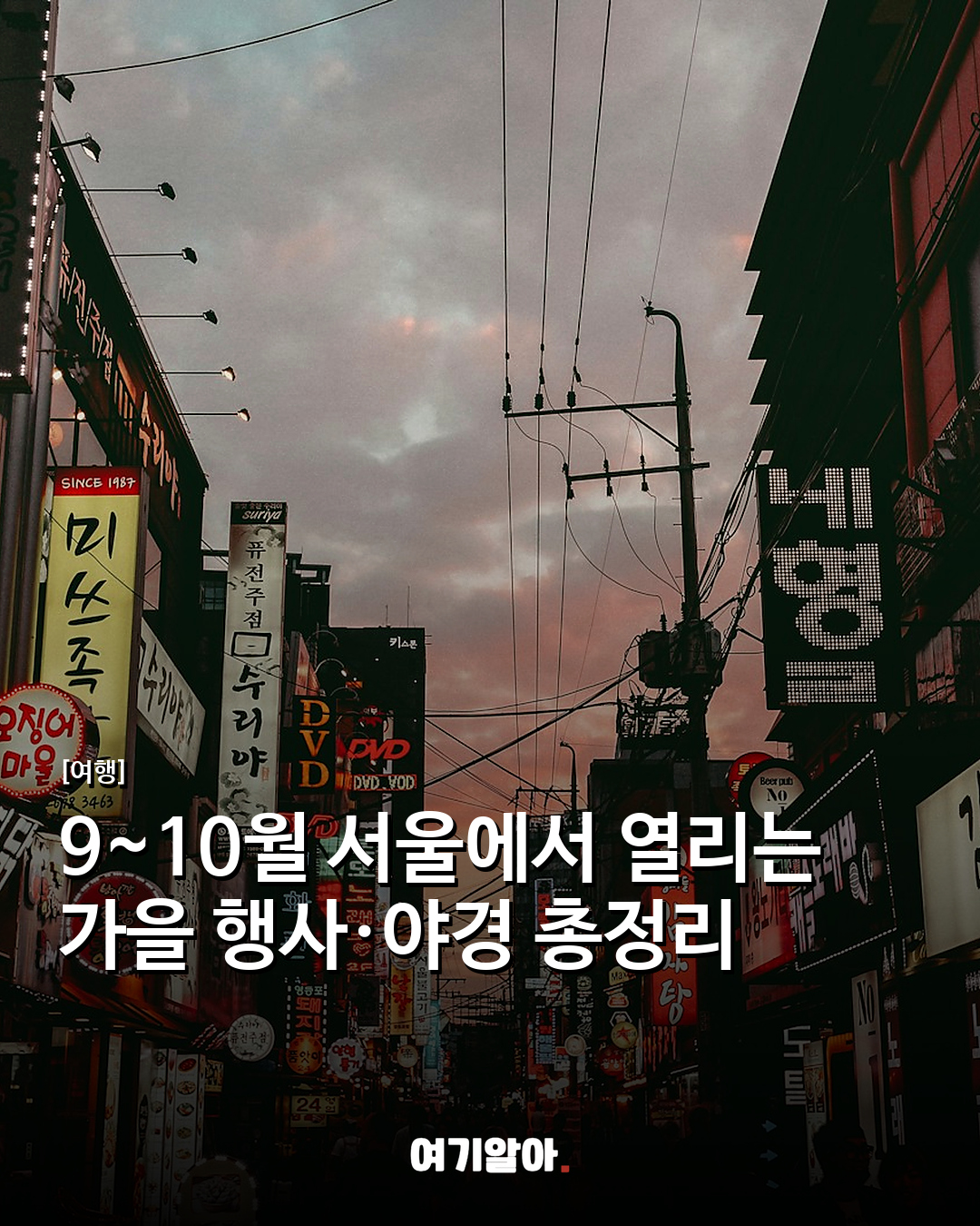 9~10월 서울에서 열리는 가을 행사·야경 총정리