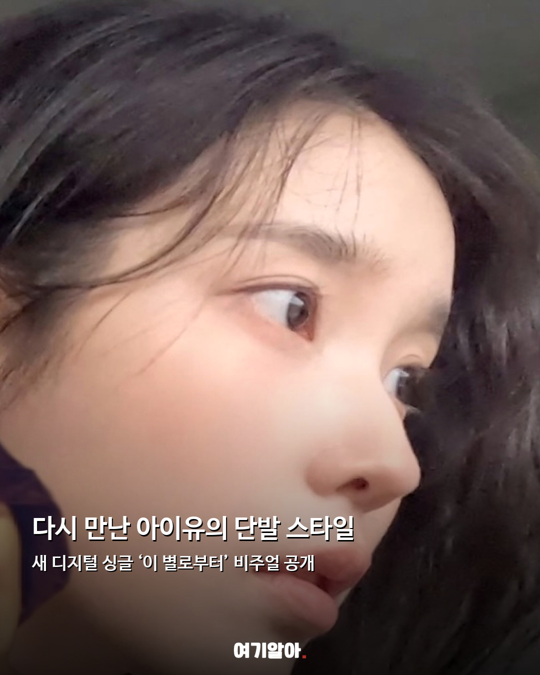 단발 유발자 돌아왔다 아이유 새 싱글 예고 02페이지