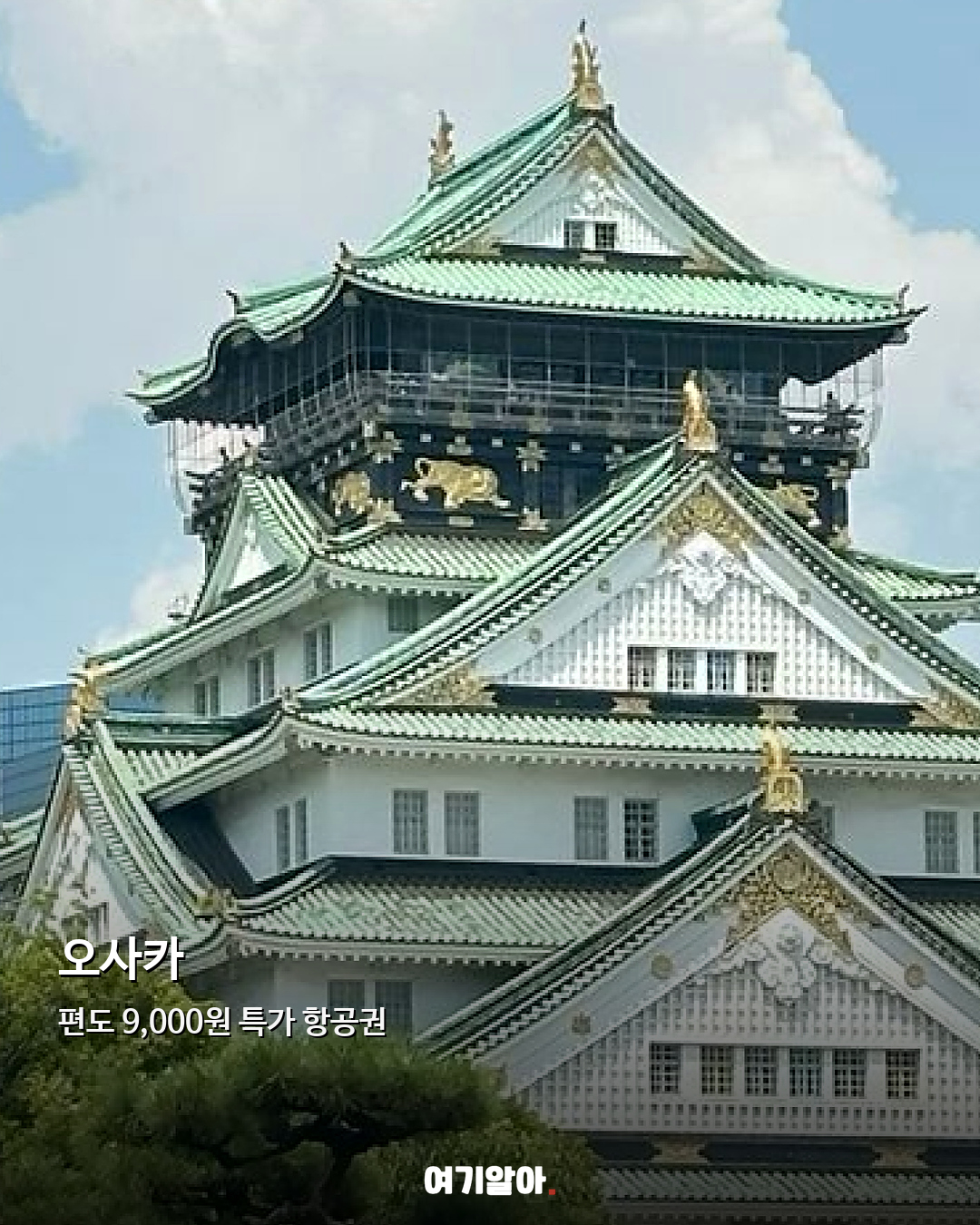 도쿄·오사카·후쿠오카·삿포로 일본 편도 9천 원 오픈 03페이지