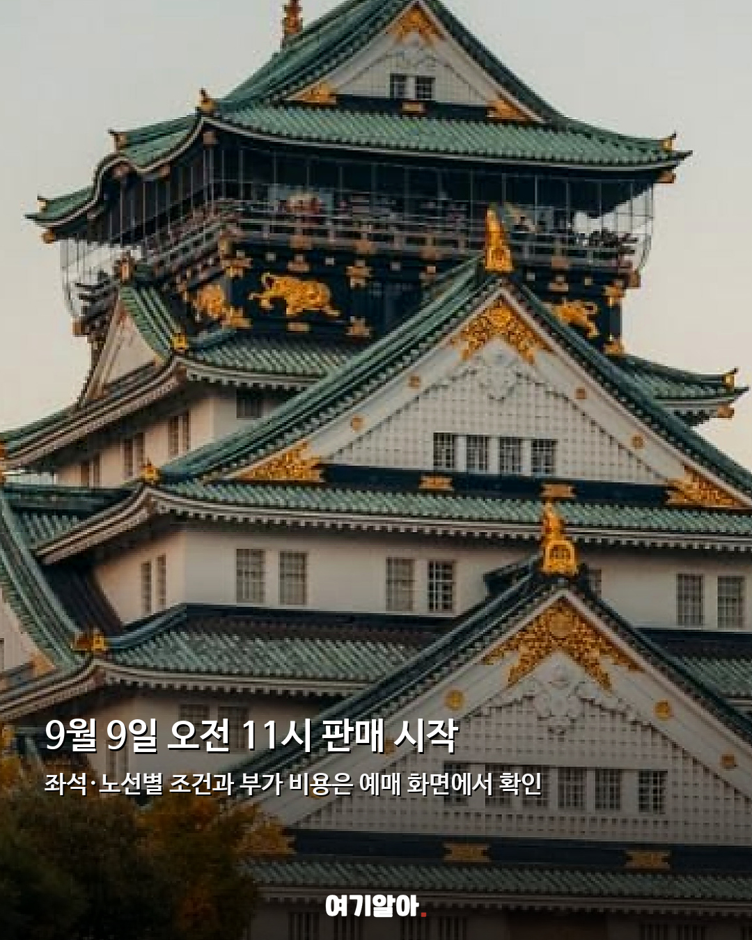 도쿄·오사카·후쿠오카·삿포로 일본 편도 9천 원 오픈 06페이지