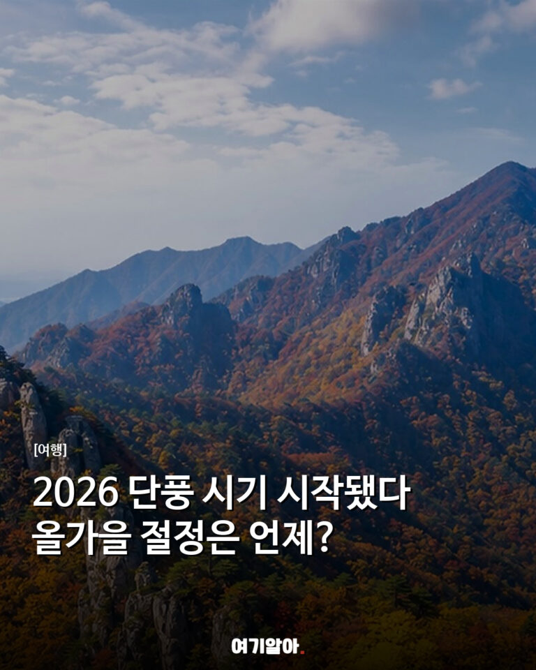 2026 단풍 시기 시작됐다 올가을 절정은 언제?