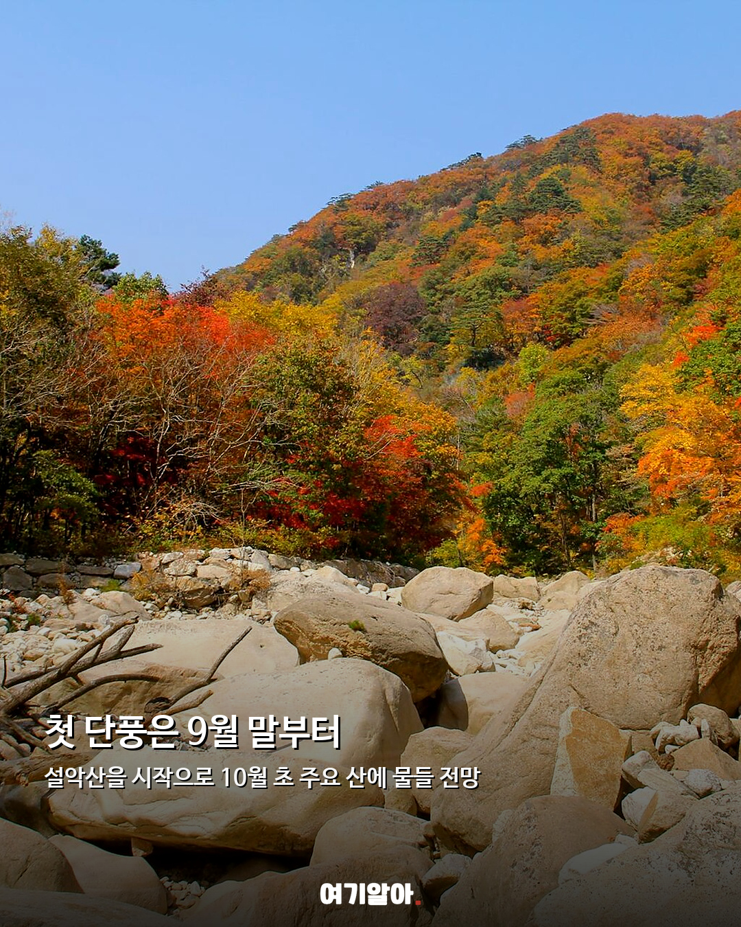 2026 단풍 시기 시작됐다 올가을 절정은 언제? 02페이지