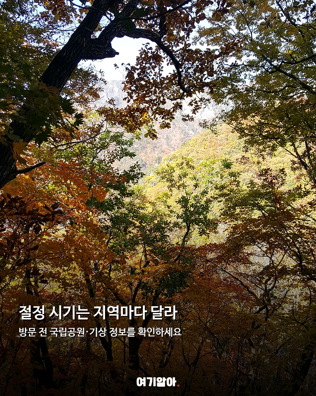 2026 단풍 시기 시작됐다 올가을 절정은 언제? 03페이지