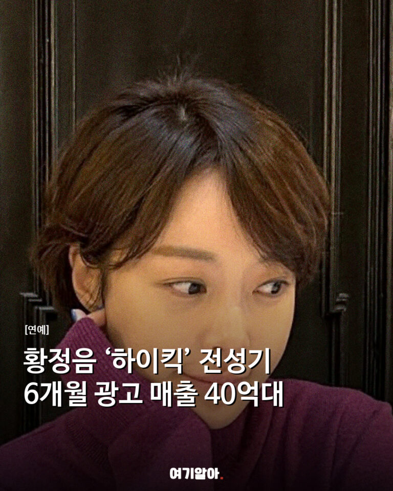 황정음 ‘하이킥’ 전성기 6개월 광고 매출 40억대