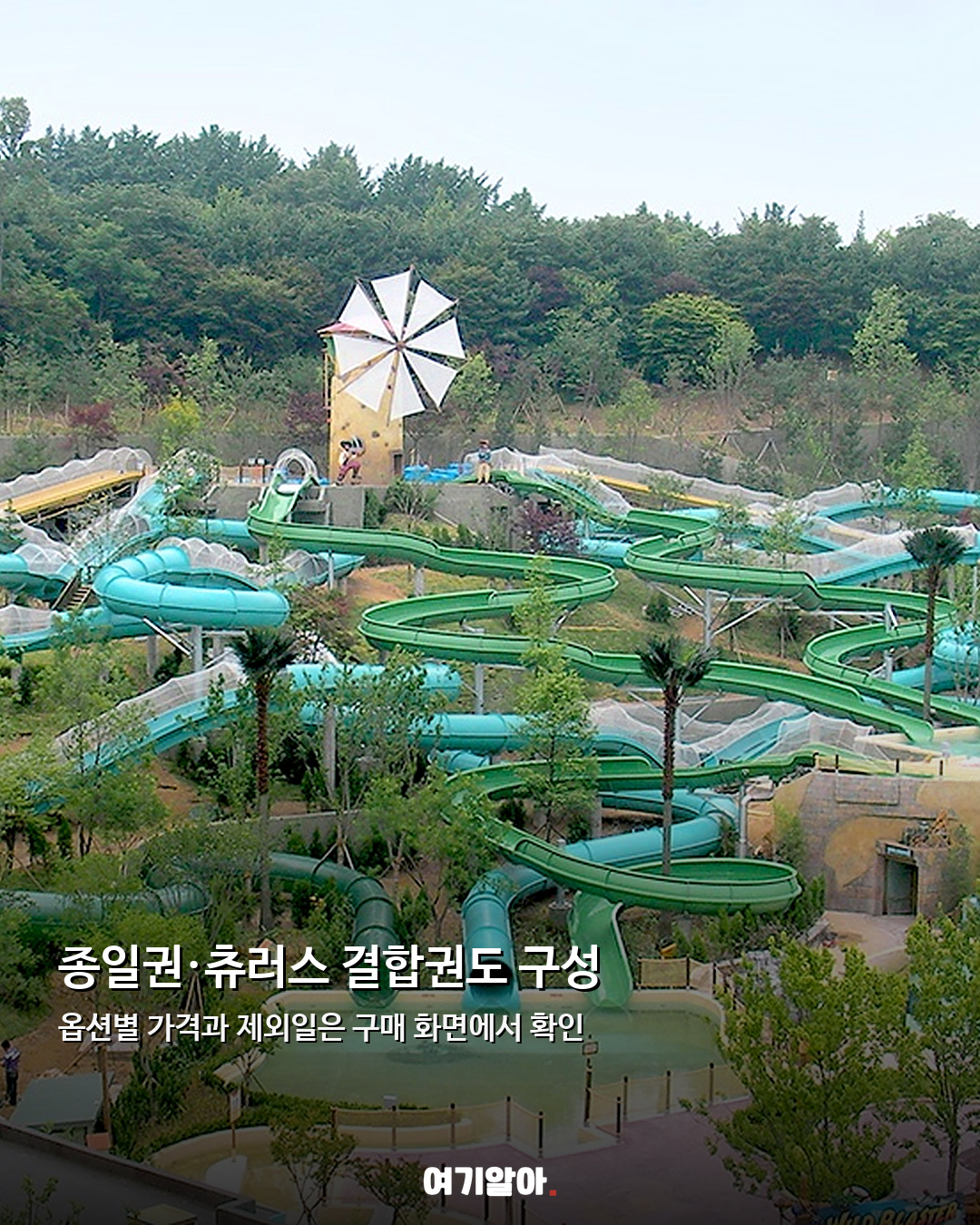 에버랜드 종일권 반값대 9월 10일 특가 열린다 04페이지