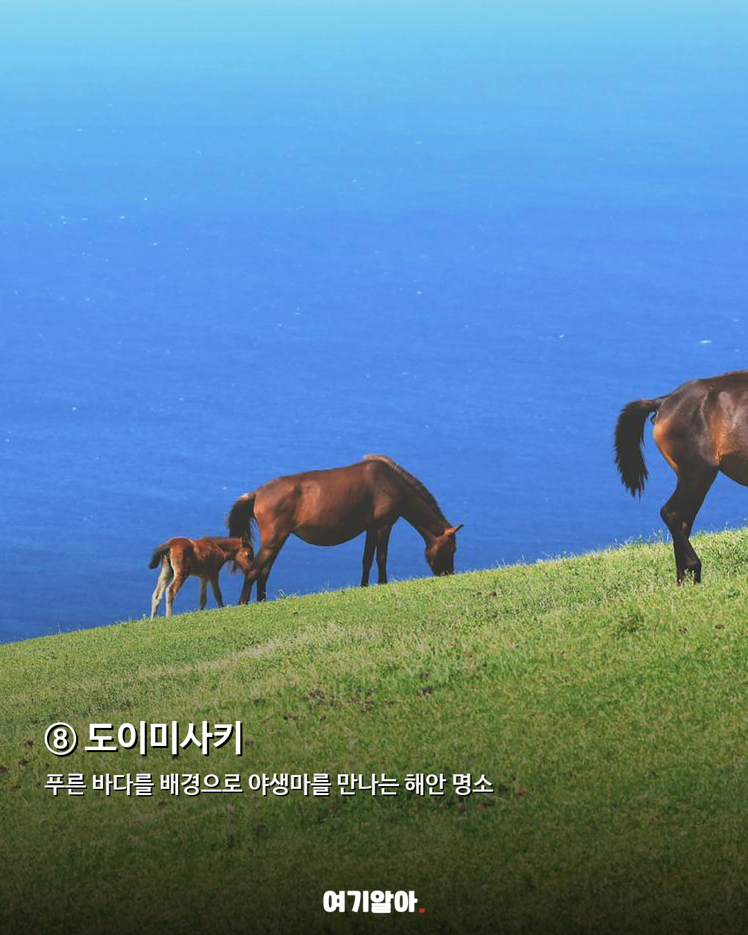 일본의 하와이 미야자키 놓치기 아까운 8곳 09페이지