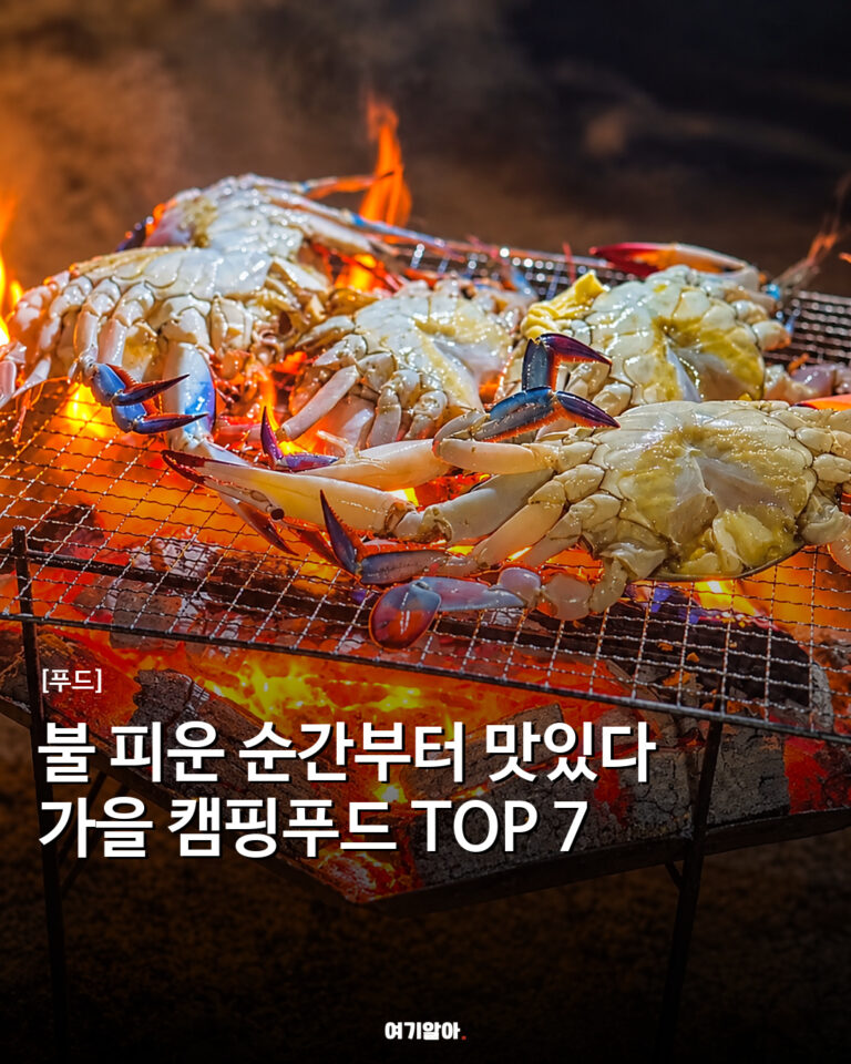 불 피운 순간부터 맛있다 가을 캠핑푸드 TOP 7