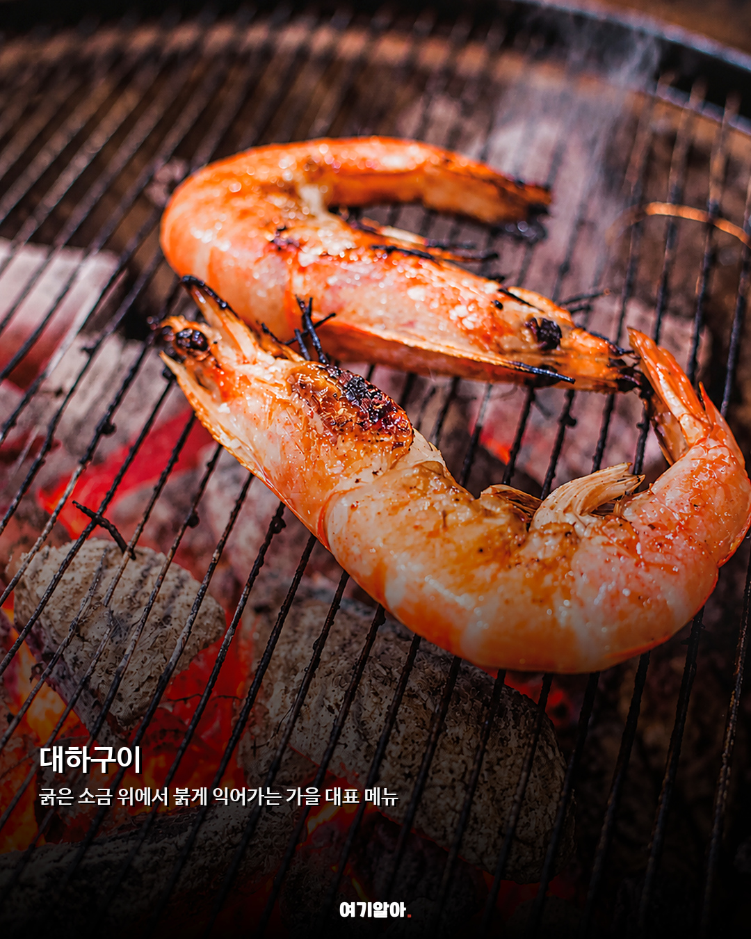 불 피운 순간부터 맛있다 가을 캠핑푸드 TOP 7 03페이지