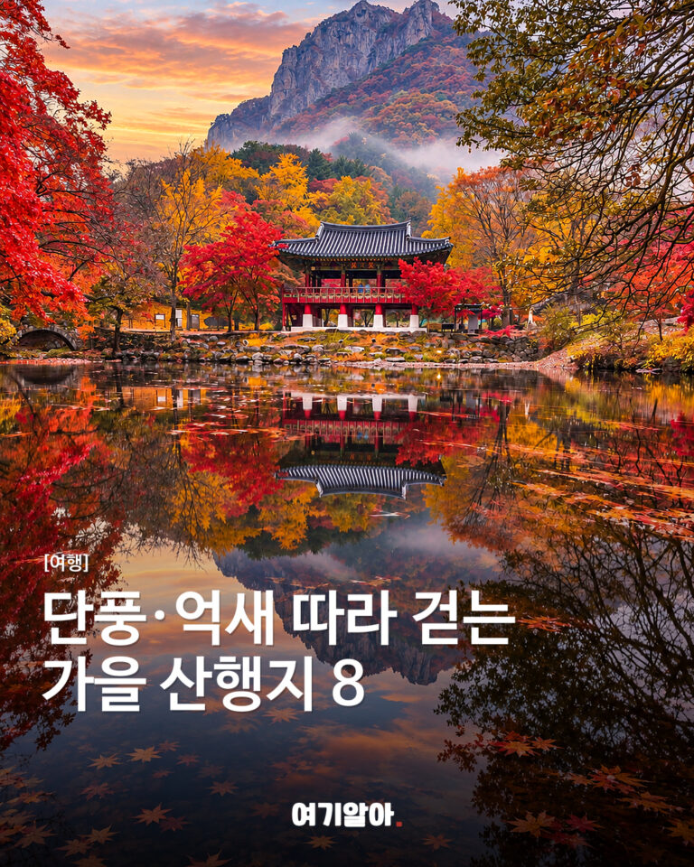 단풍·억새 따라 걷는 가을 산행지 8