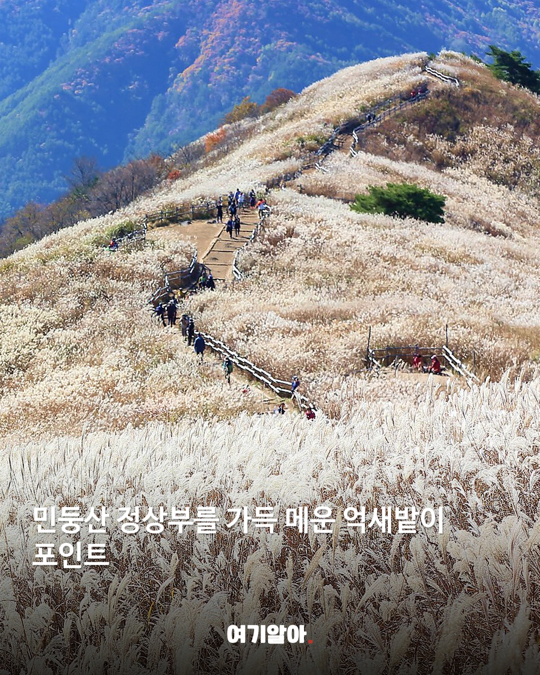 단풍·억새 따라 걷는 가을 산행지 8 본문 3