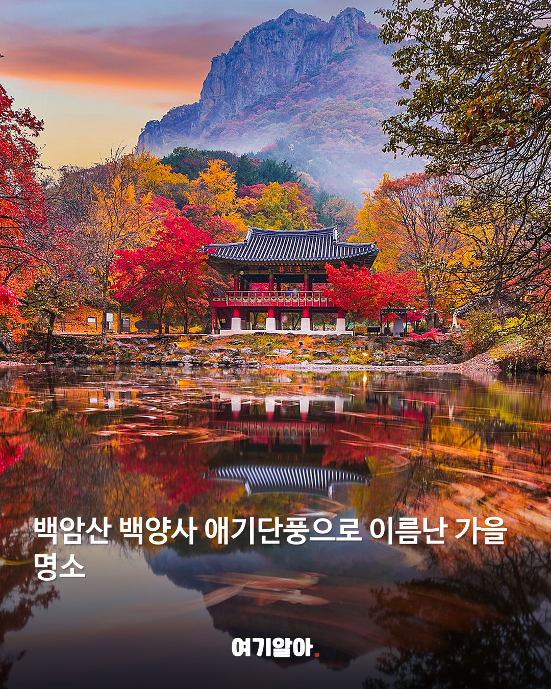 단풍·억새 따라 걷는 가을 산행지 8 본문 6