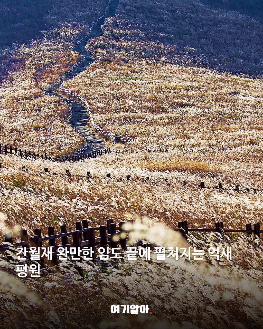 단풍·억새 따라 걷는 가을 산행지 8 본문 8