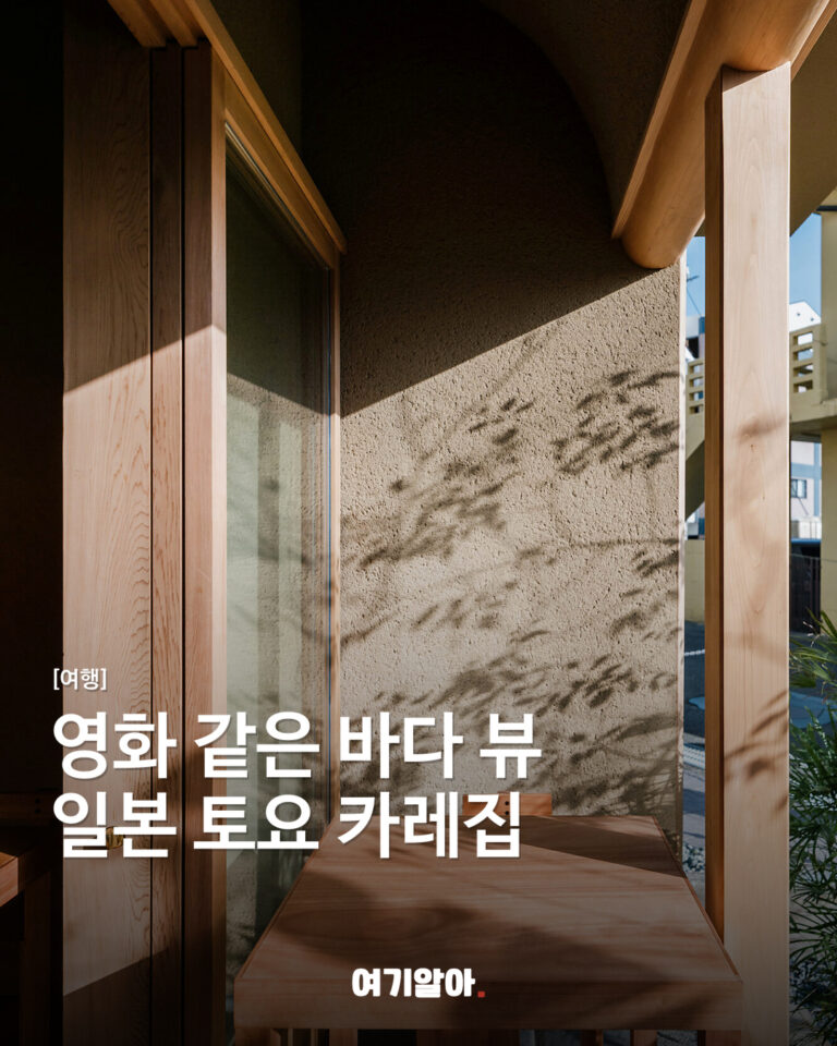 영화 같은 바다 뷰 일본 토요 카레집