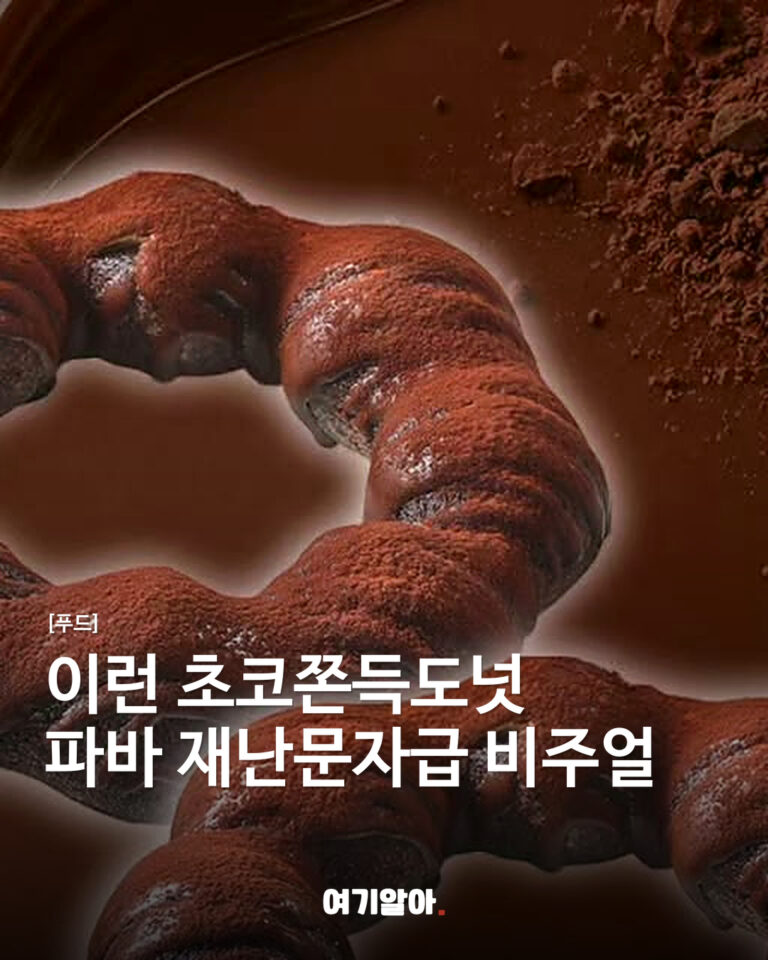 이런 초코쫀득도넛파바 재난문자급 비주얼