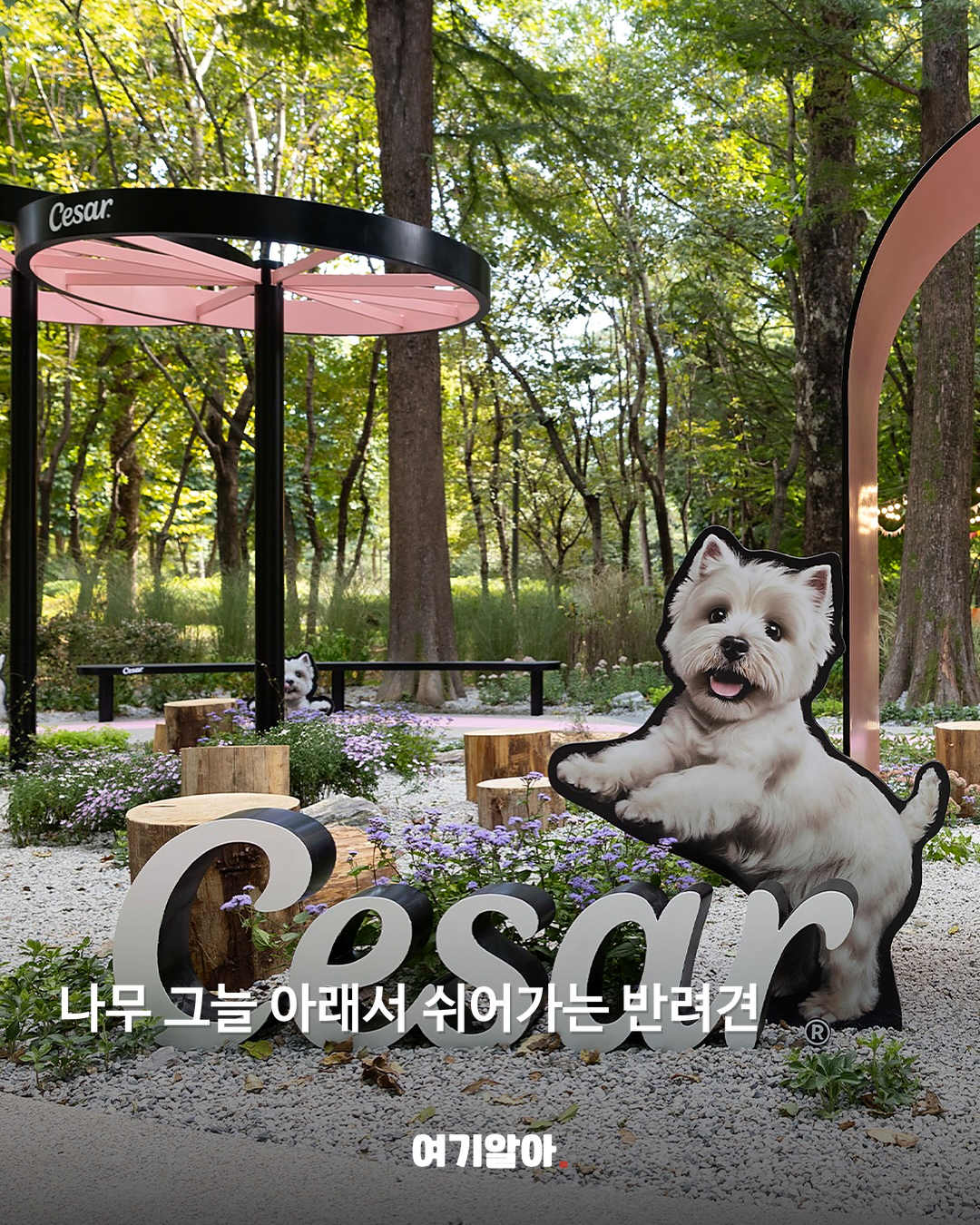 강아지와 함께 가는 서울 댕댕파크 본문 1