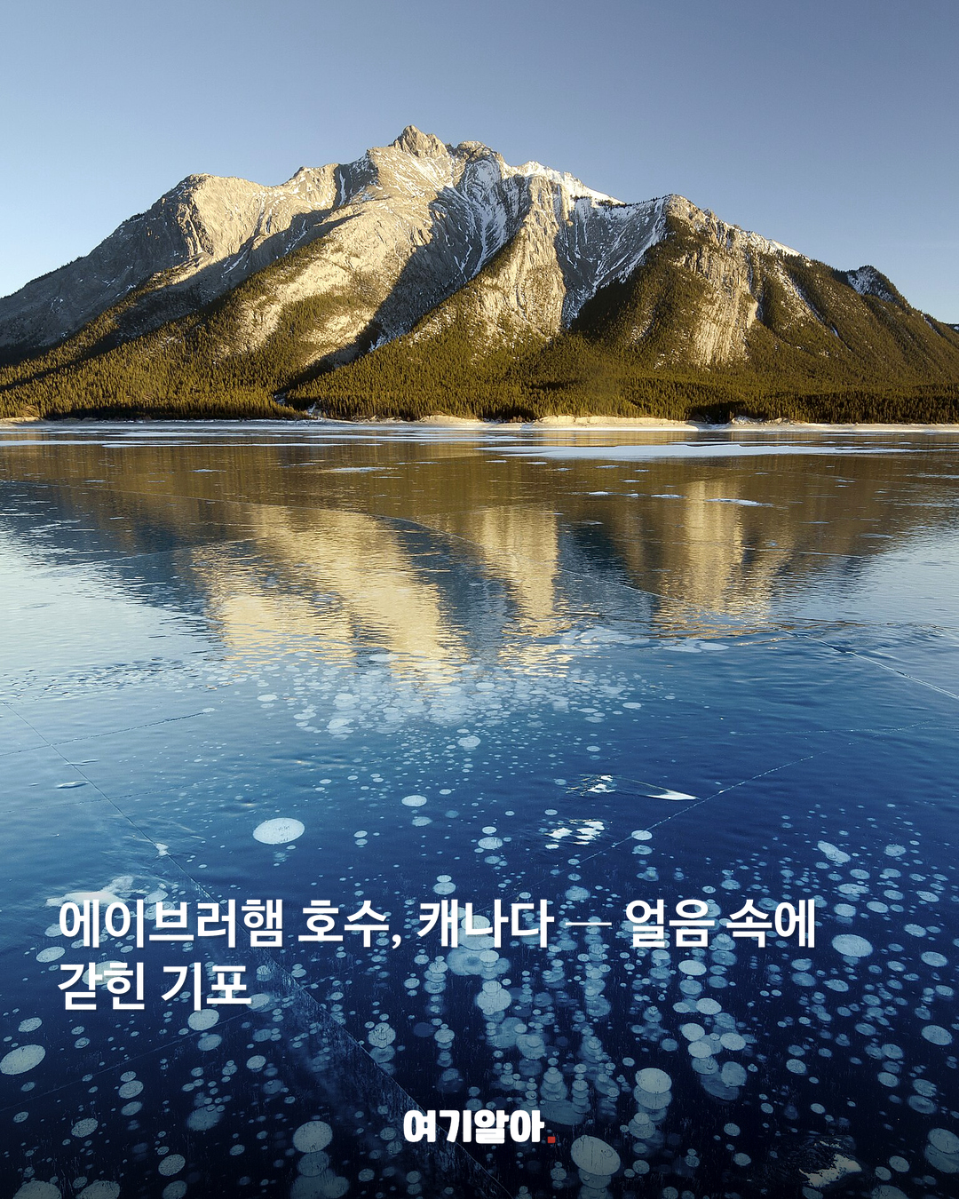 현실이 더 신기한 여행지 8곳 본문 3
