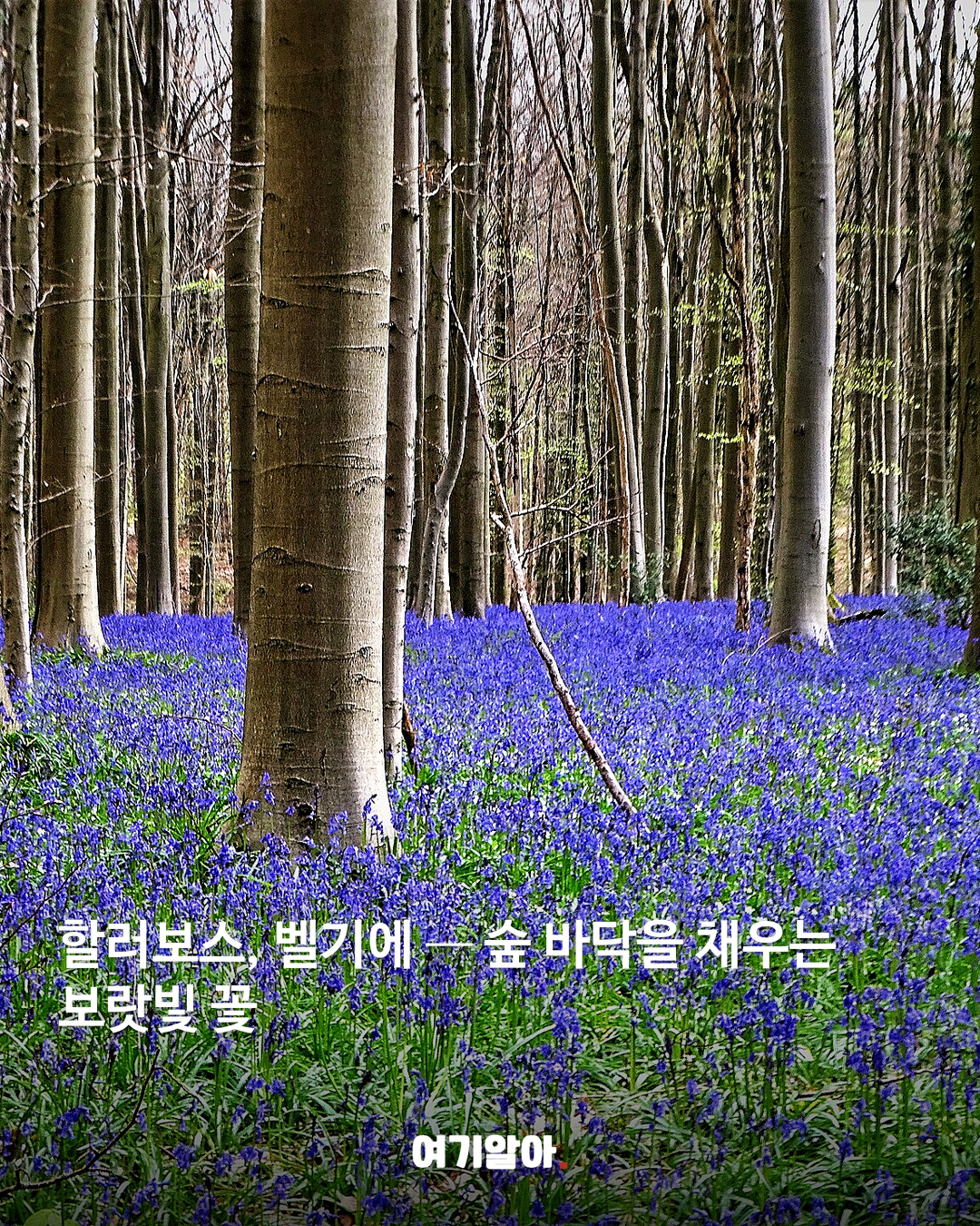현실이 더 신기한 여행지 8곳 본문 4