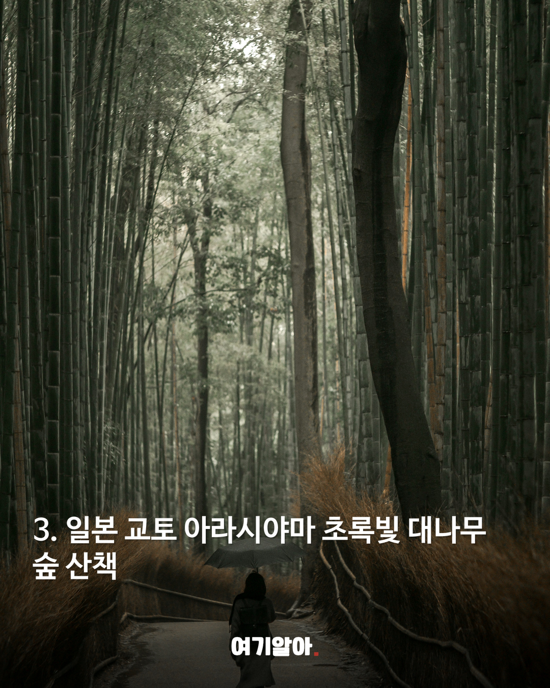 일본 교토 아라시야마