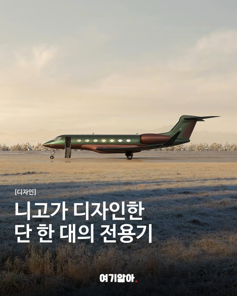 니고가 디자인한 단 한 대의 전용기