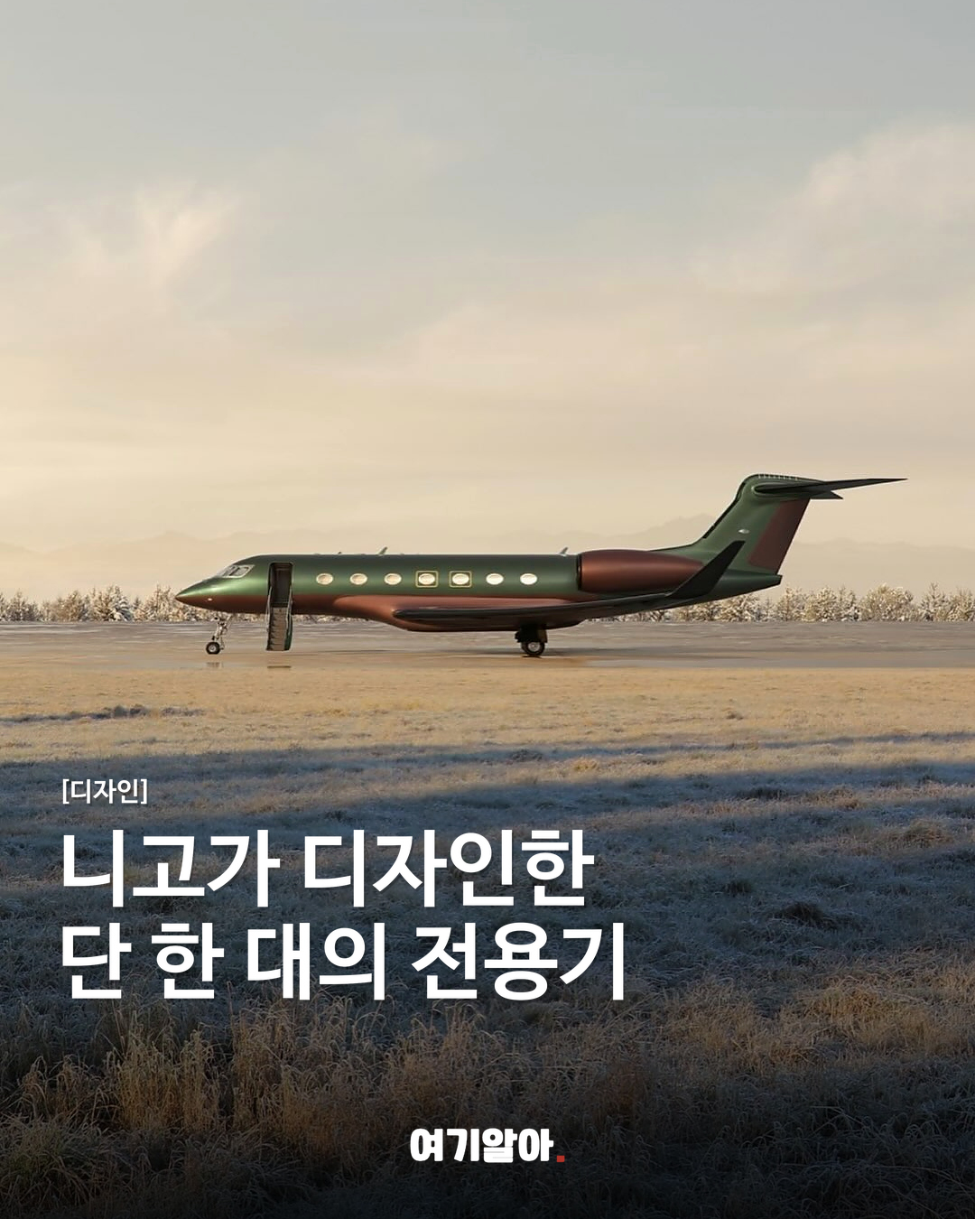 니고가 디자인한 단 한 대의 전용기