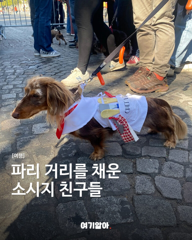 파리 거리를 채운 소시지 친구들